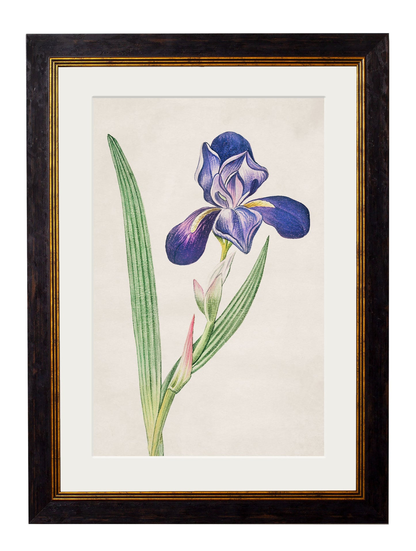 c.1780 Flowering Plants styled view – Leya Buster Interiors