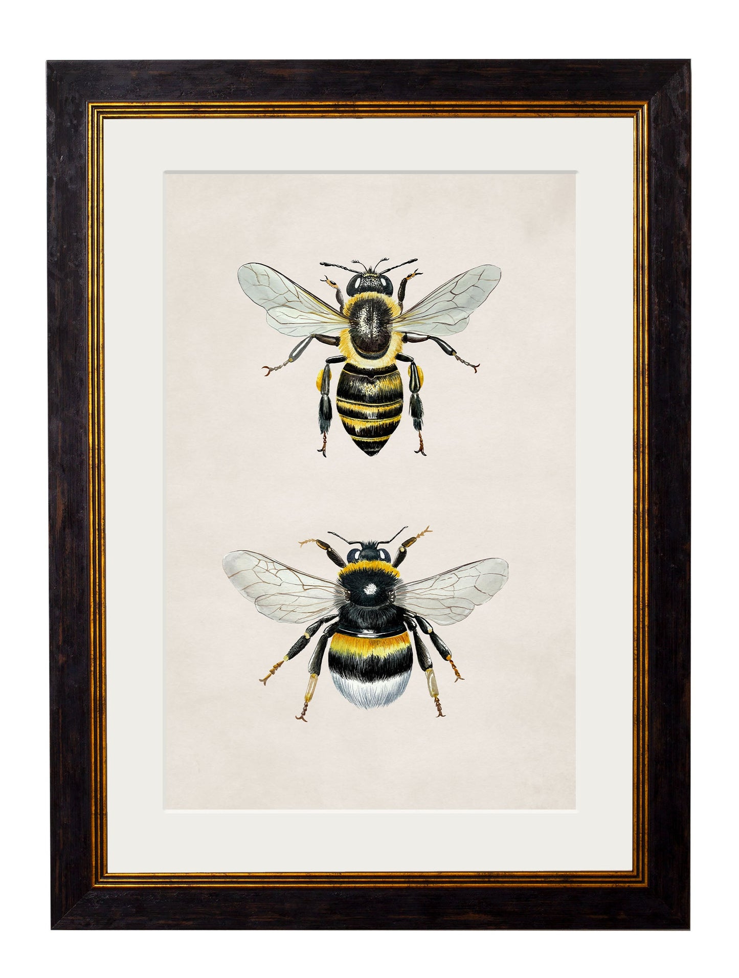 Honey and Bumble Bee detail – Leya Buster Interiors