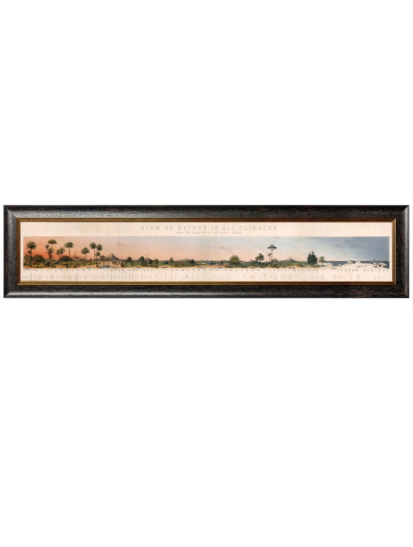 c.1852 View of Nature in all Climates – From the Equator to the Arctic Circle styled view – Leya Buster Interiors