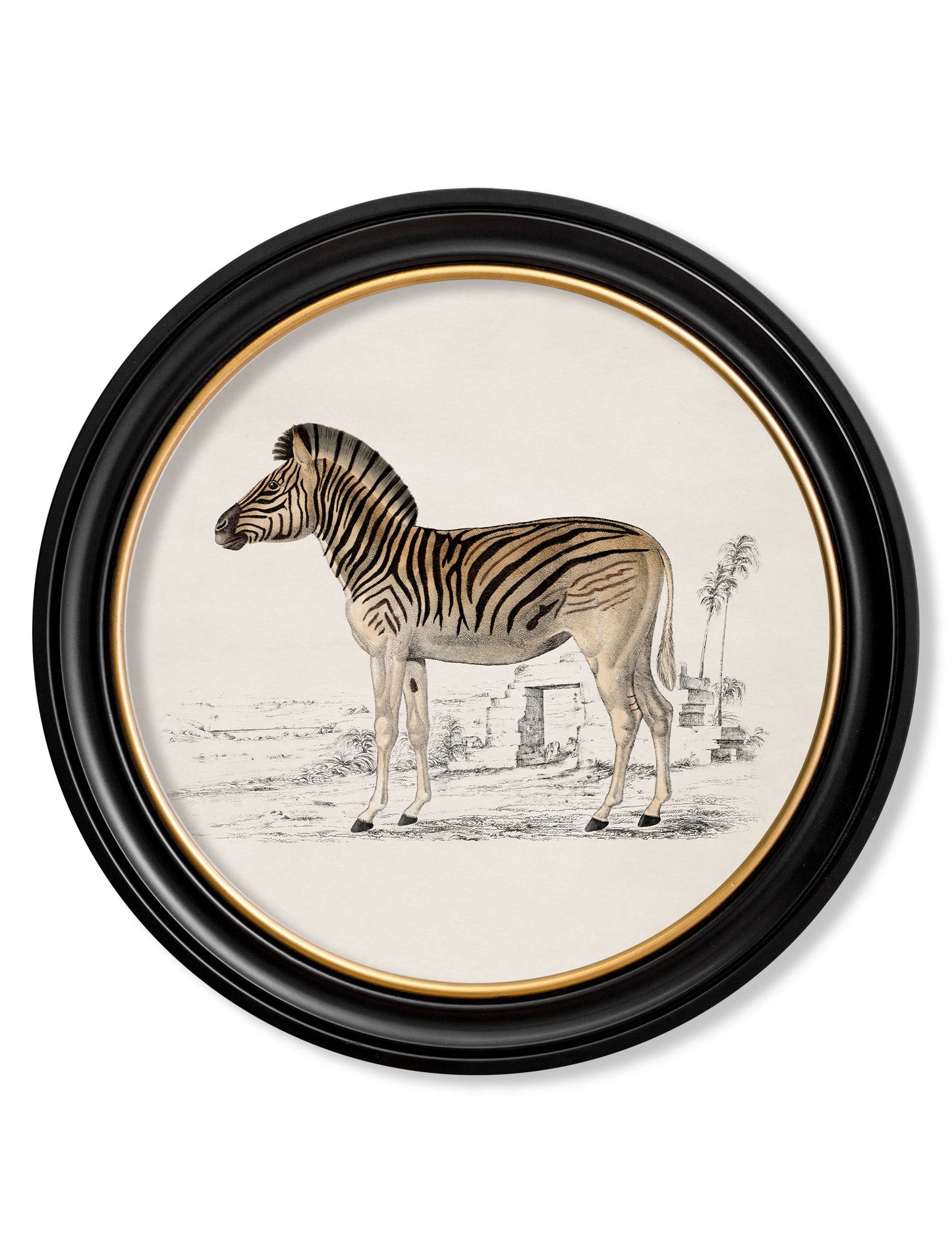 c.1774 Zebra – Round Frame detail – Leya Buster Interiors