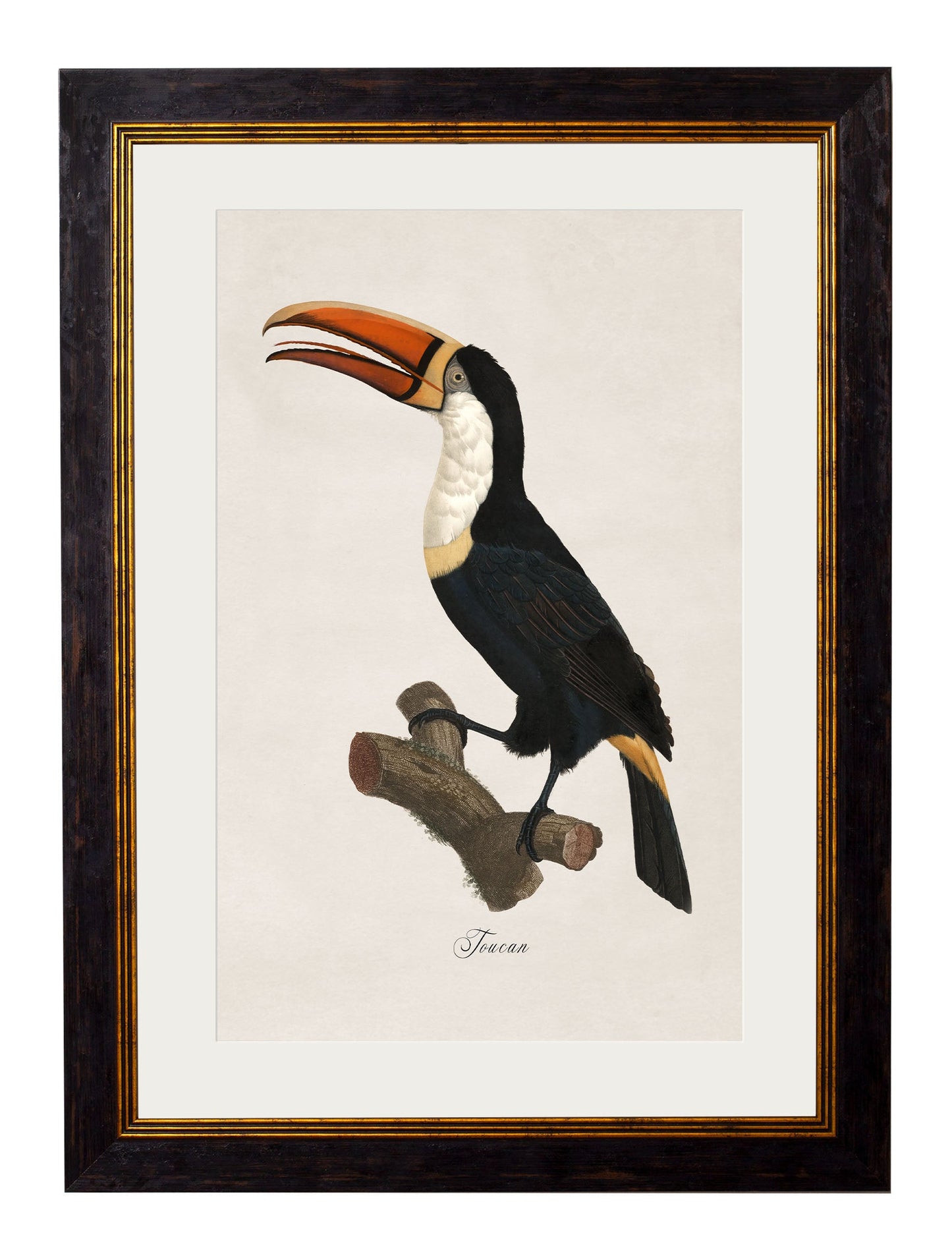 c.1809 Toucans styled view – Leya Buster Interiors