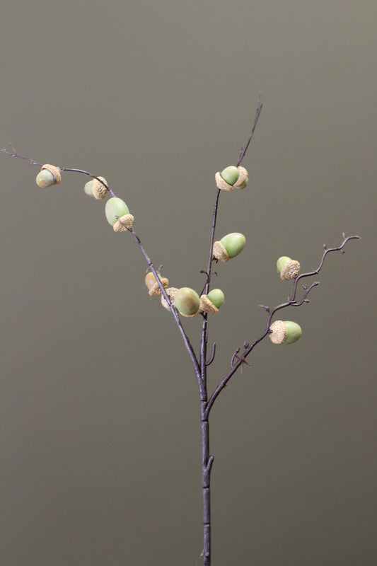 Woodland Acorn Branch – Green
