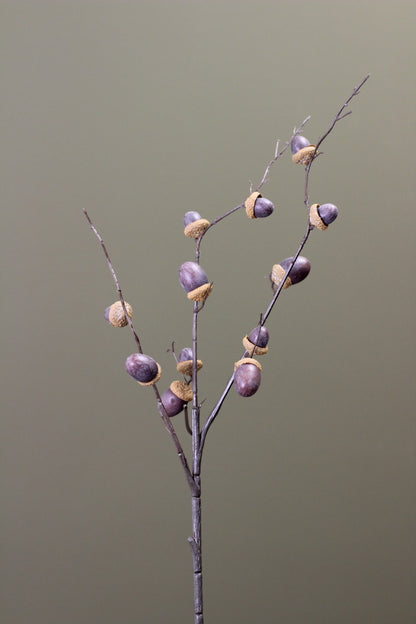 Woodland Acorn Branch – Brown