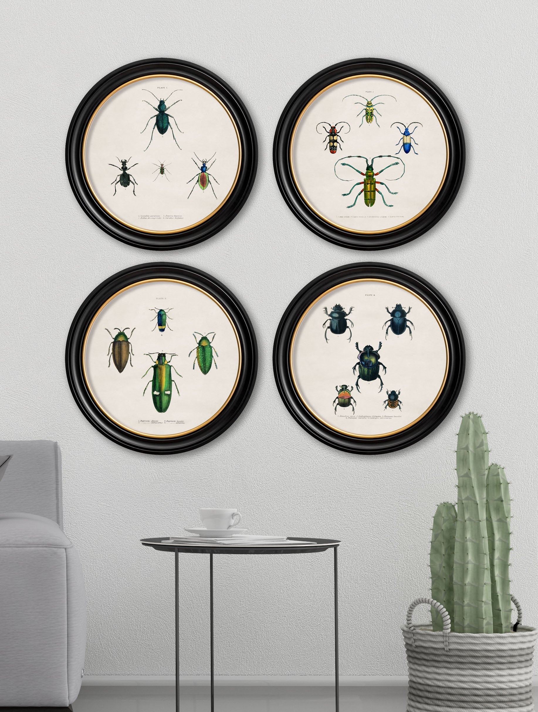 c.1836 Beetle Plates – Round Frame – framed wall art at Leya Buster Interiors