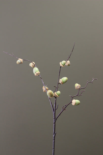 Woodland Acorn Branch – Green