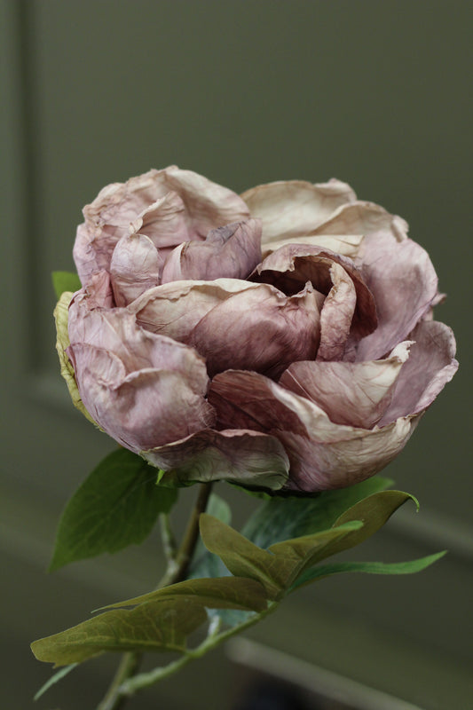 Vintage Peony Bud Stem – Dusty Mauve