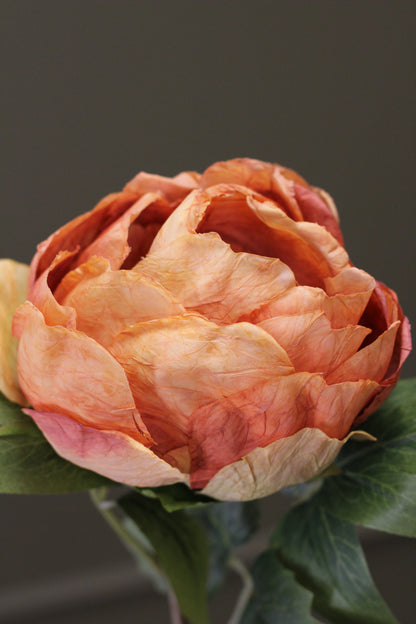 Vintage Peony Bud Stem – Burnt Orange