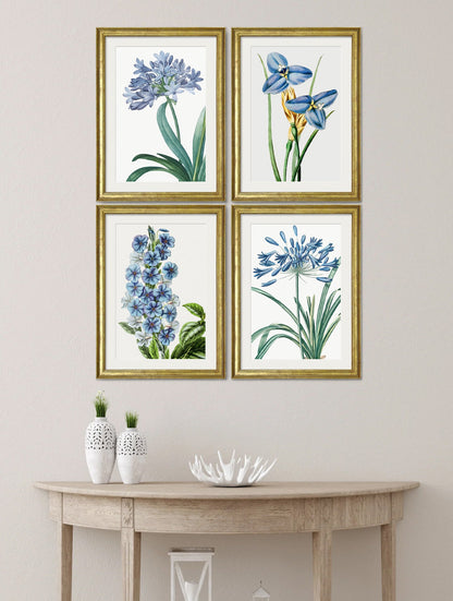 Blue Floral Illustrations Set of 4 Prints – framed wall art at Leya Buster Interiors