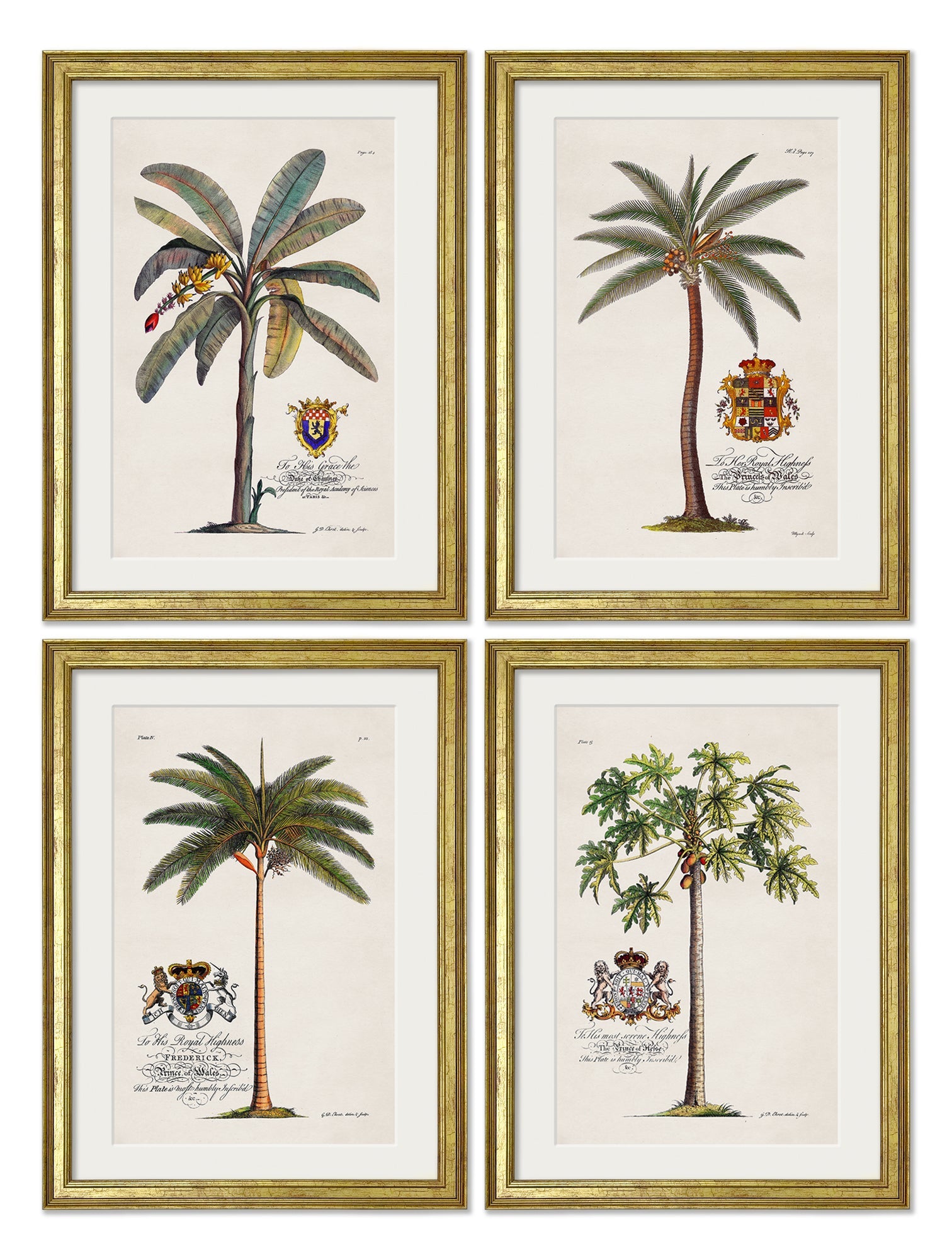 Studies of Palms detail – Leya Buster Interiors