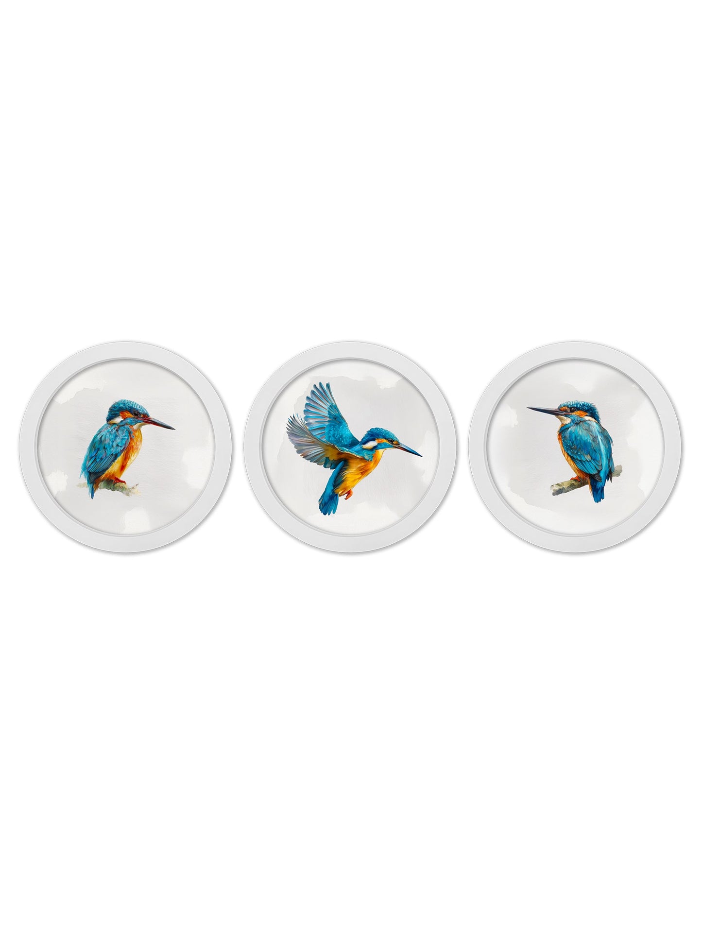 Watercolour Kingfishers – 30cm White Round Box Frame detail – Leya Buster Interiors
