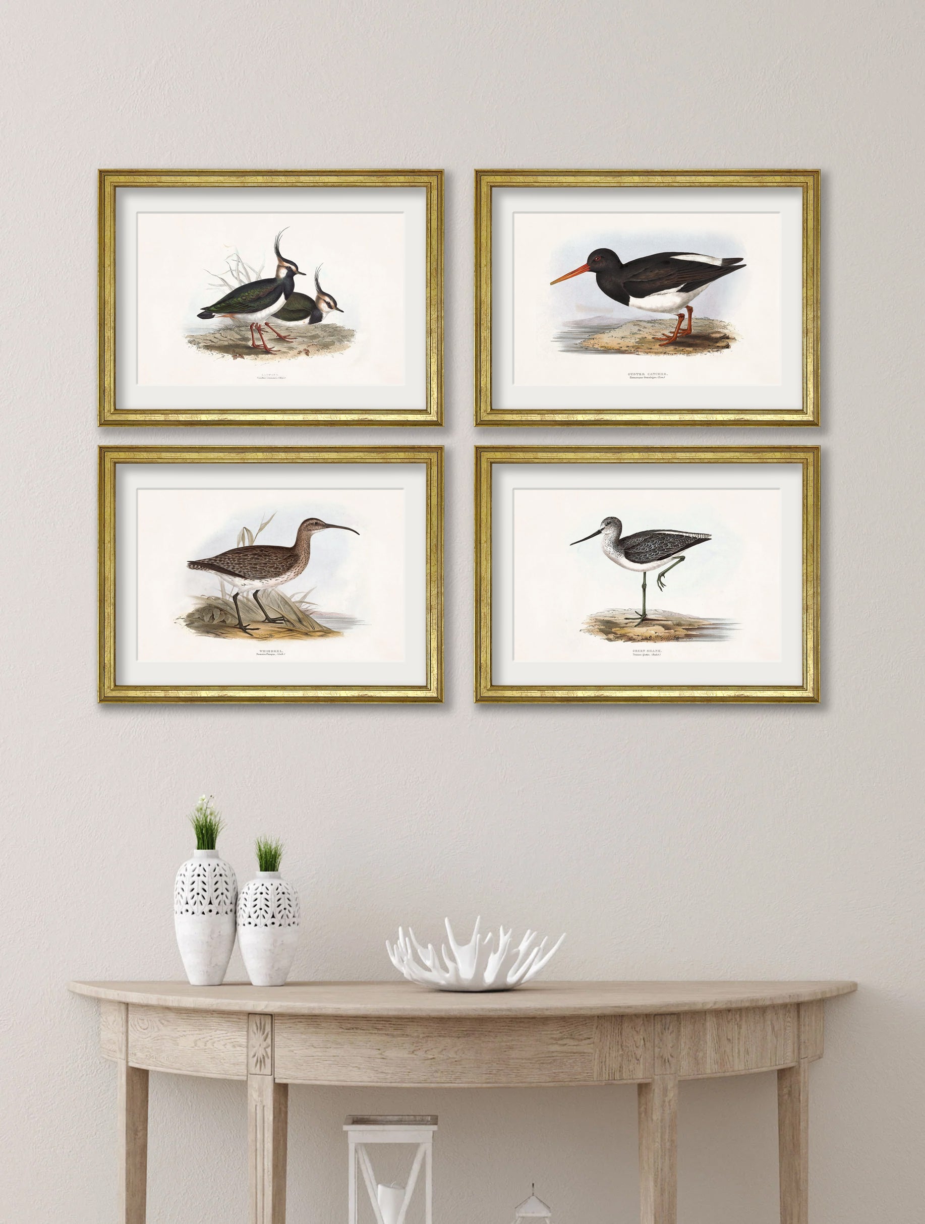 c.1837's British Coastal Birds – framed wall art at Leya Buster Interiors