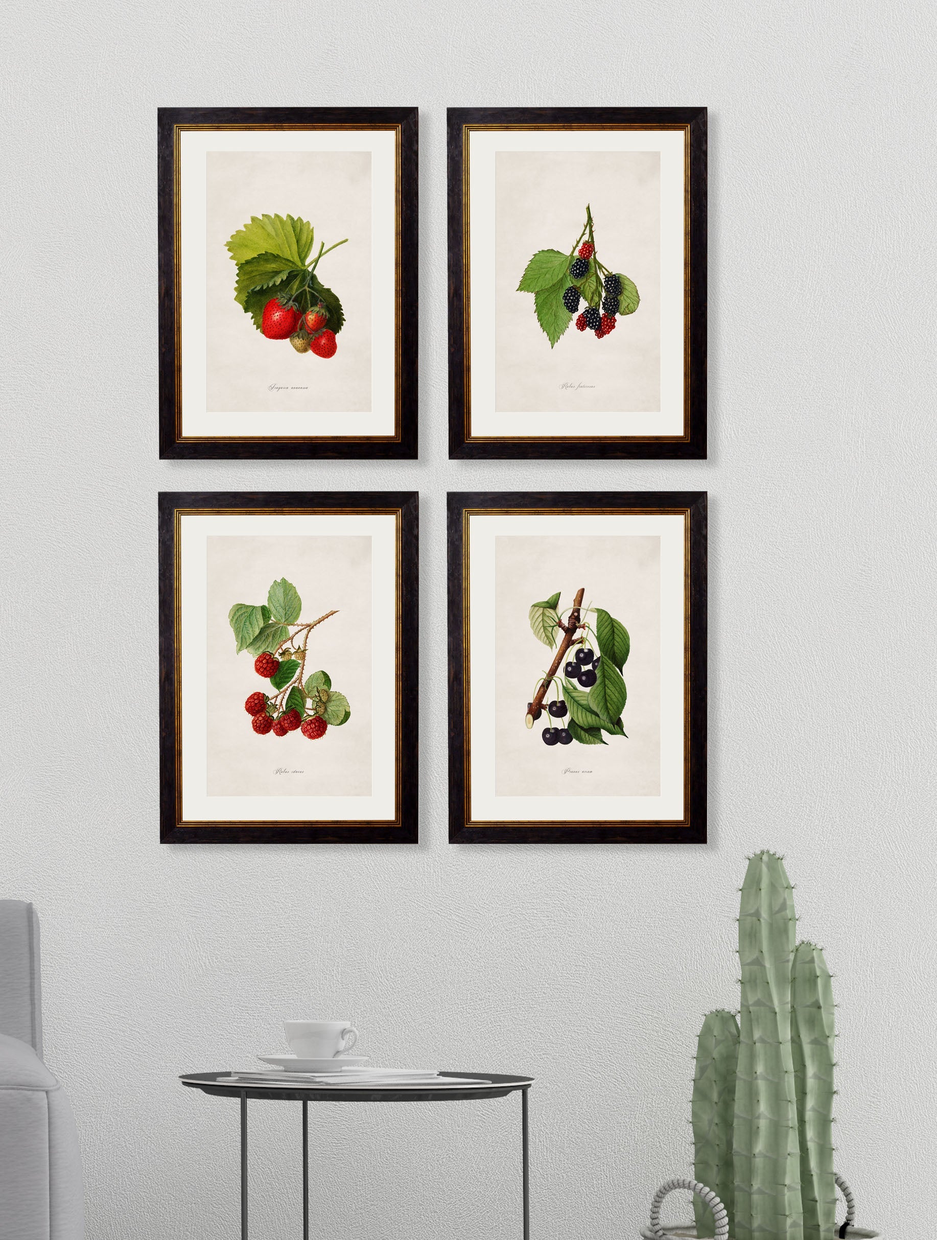 c.1886 Study of Berries & Cherries – framed wall art at Leya Buster Interiors