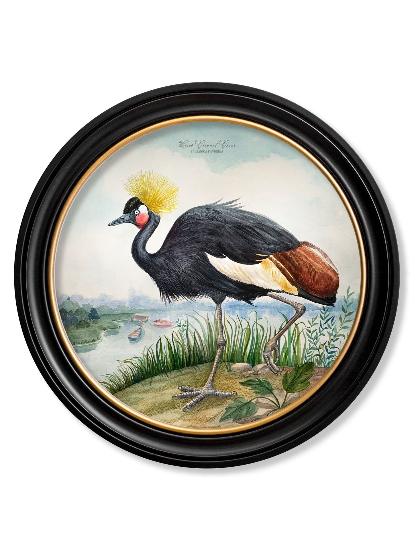 Audubon Style Cranes in Round Frames styled view – Leya Buster Interiors