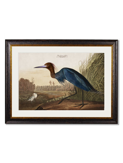 c.1838 Audubon's Herons styled view – Leya Buster Interiors