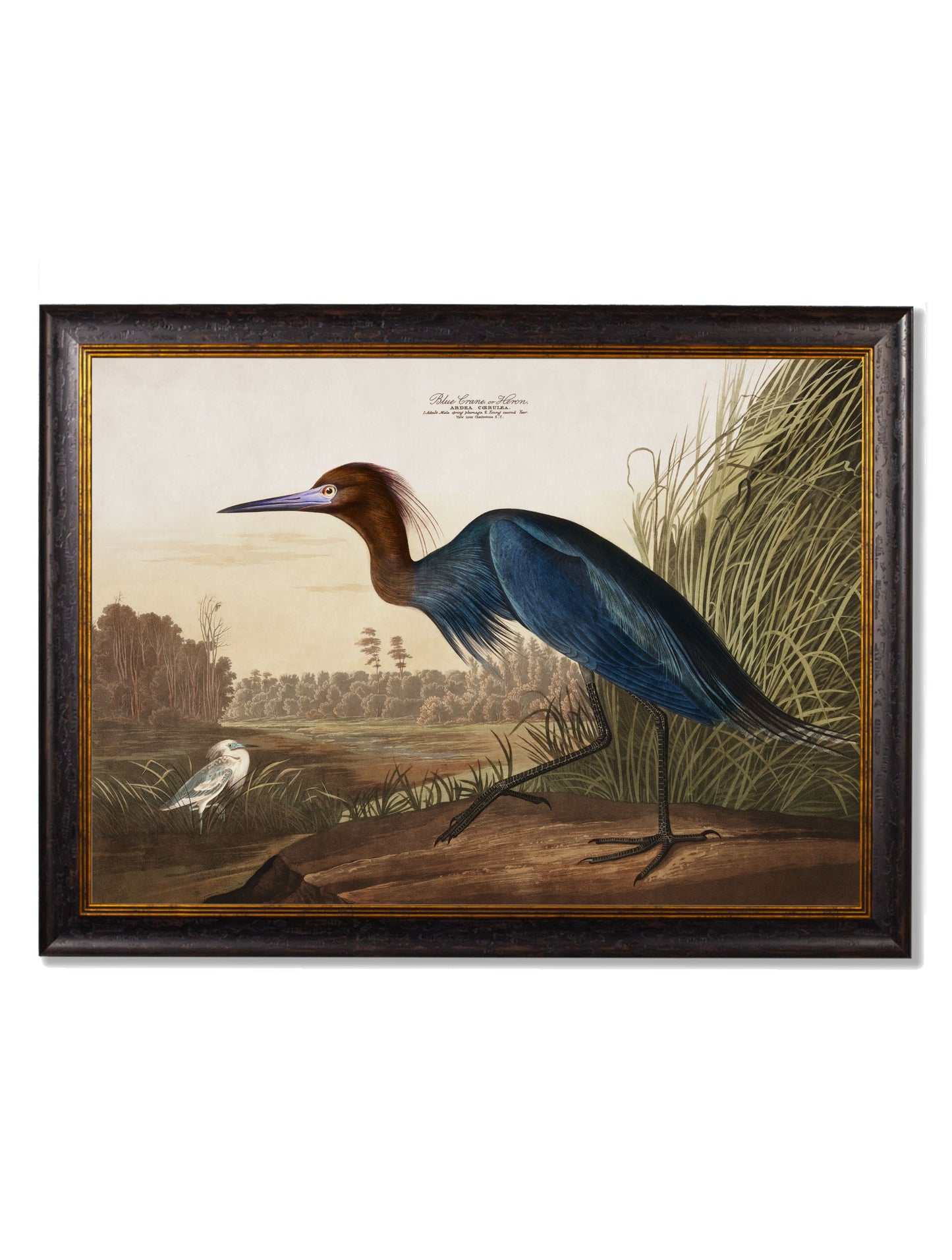 c.1838 Audubon's Herons styled view – Leya Buster Interiors