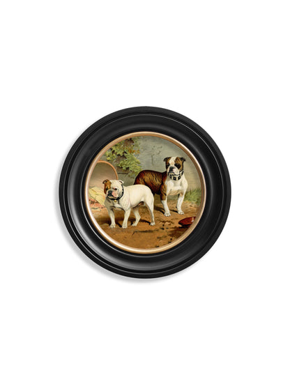 c.1881 Dogs – Round Frame styled view – Leya Buster Interiors
