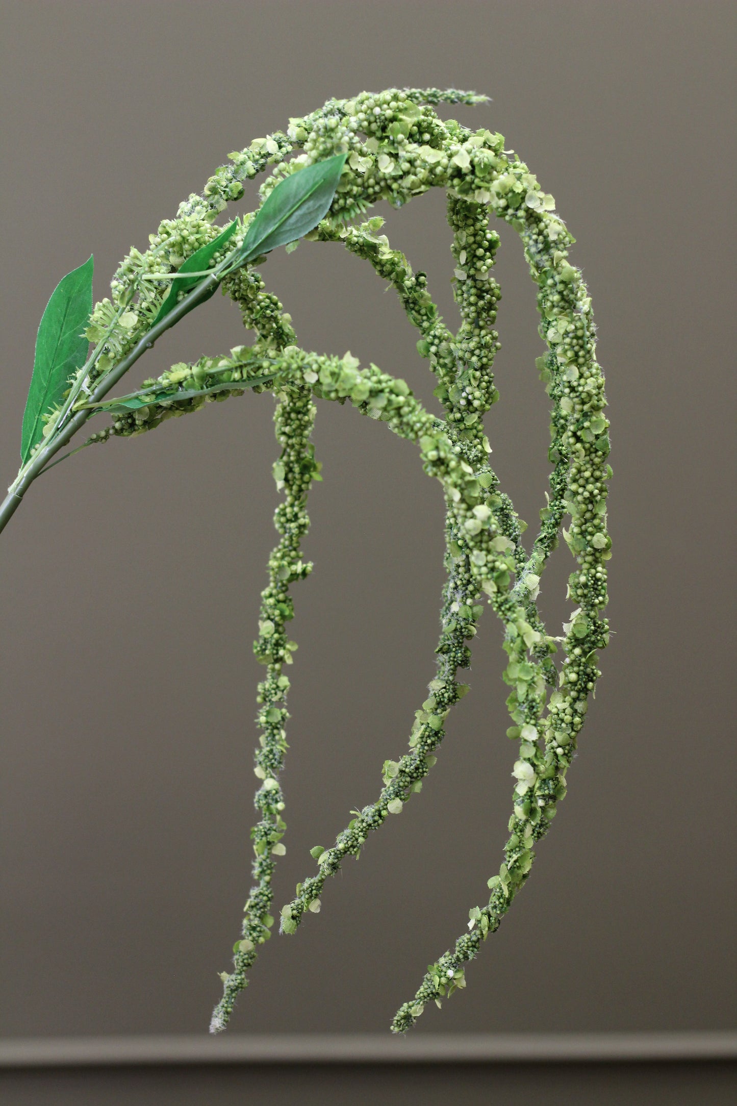 Cascading Amaranthus Stem – Olive Green