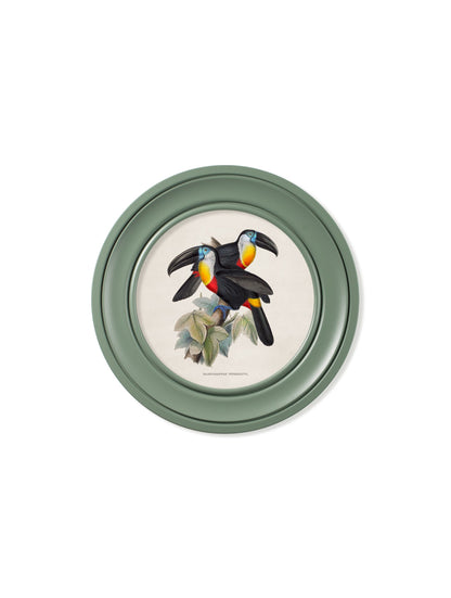 c.1848 Toucans – Round Frames Green styled view – Leya Buster Interiors