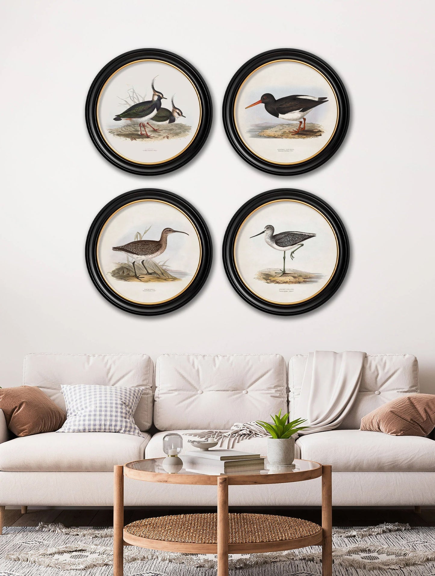 c.1837's British Coastal Birds – Round – framed wall art at Leya Buster Interiors