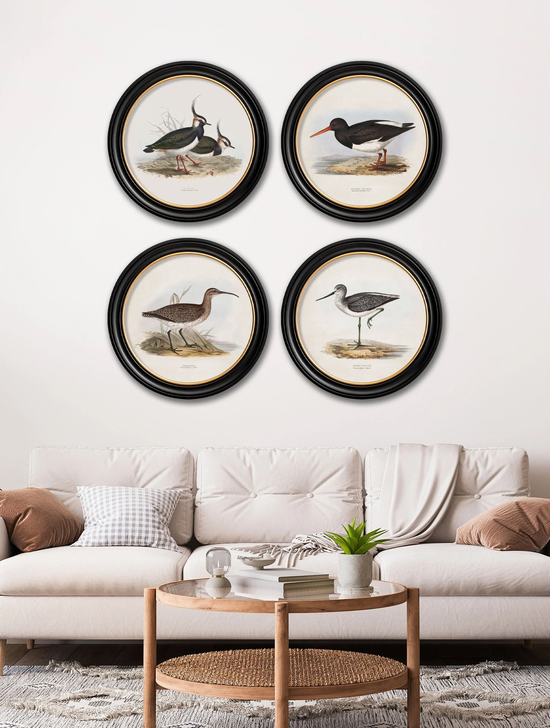 c.1837's British Coastal Birds – Round – framed wall art at Leya Buster Interiors
