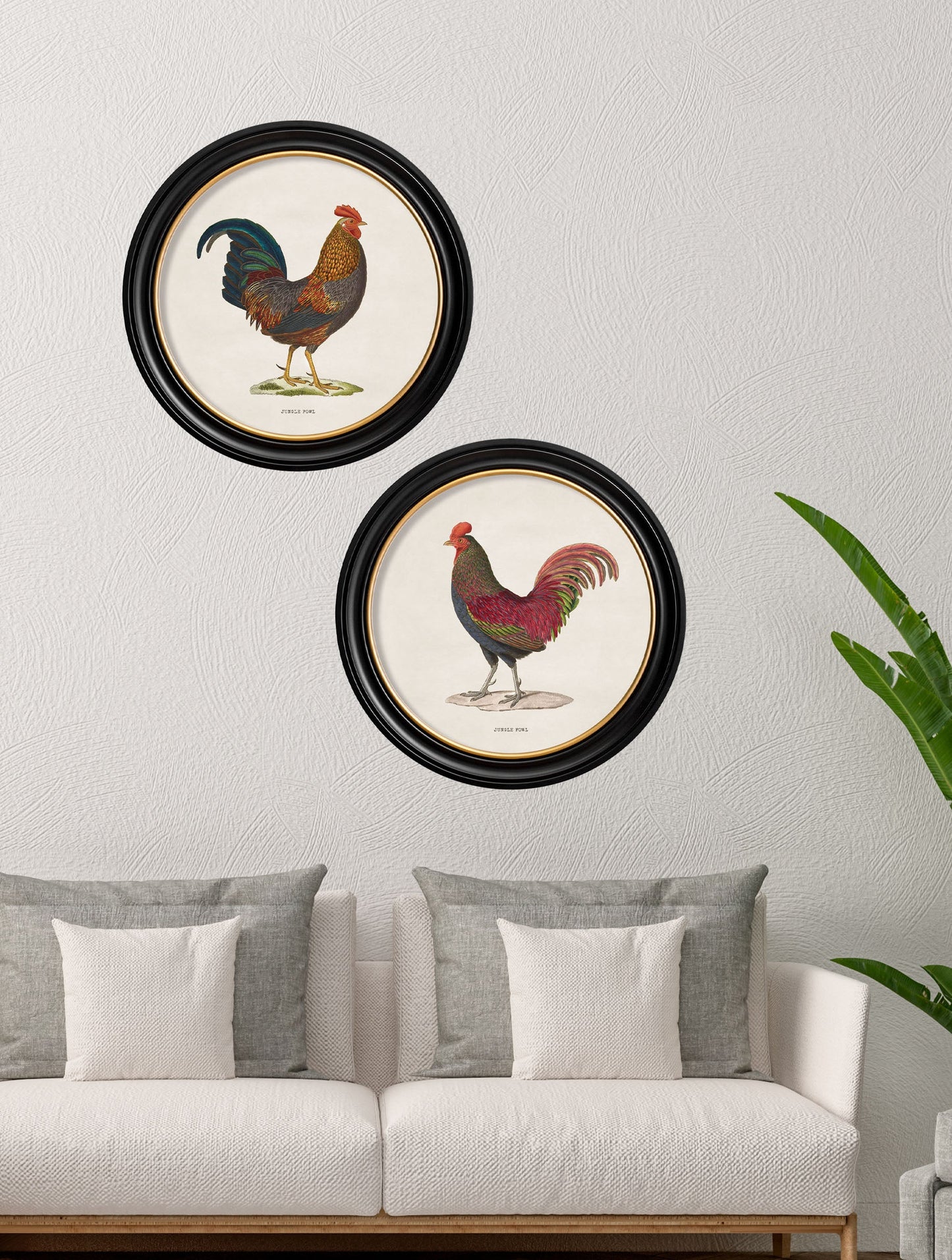c.1838 Junglefowl in Round Frames – framed wall art at Leya Buster Interiors