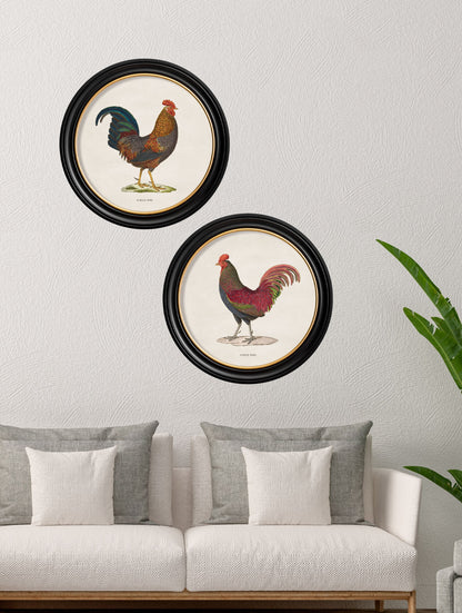 c.1838 Junglefowl in Round Frames – framed wall art at Leya Buster Interiors