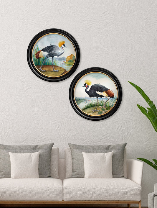 Audubon Style Cranes in Round Frames – framed wall art at Leya Buster Interiors