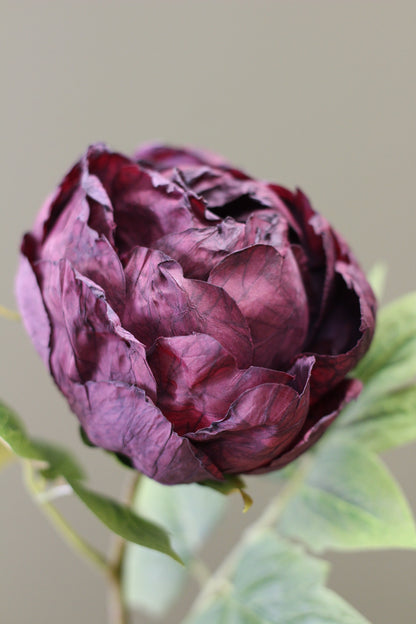 Vintage Peony Bud Stem – Aubergine