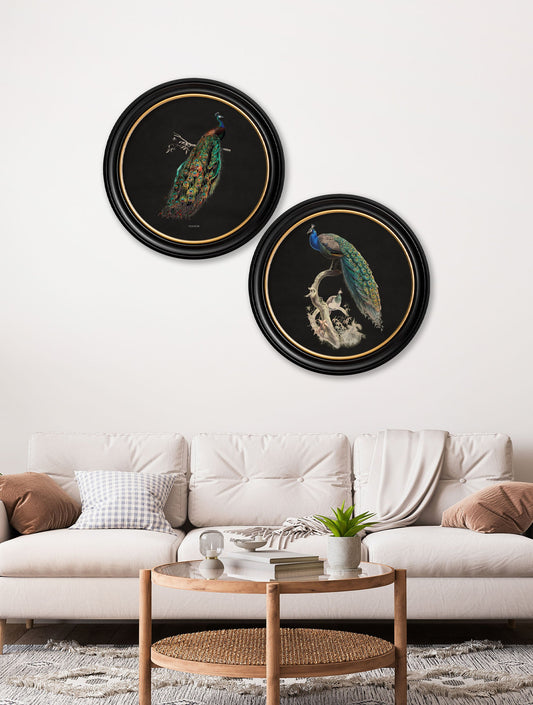 c.1847 Peacocks in Round Frames – Dark – framed wall art at Leya Buster Interiors