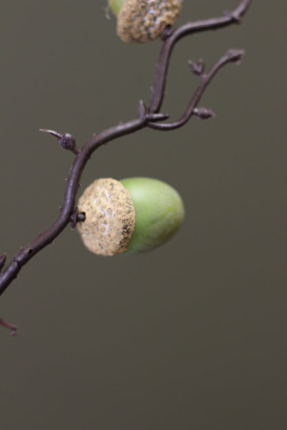 Woodland Acorn Branch – Green