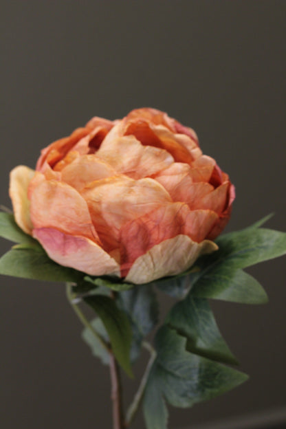 Vintage Peony Bud Stem – Burnt Orange