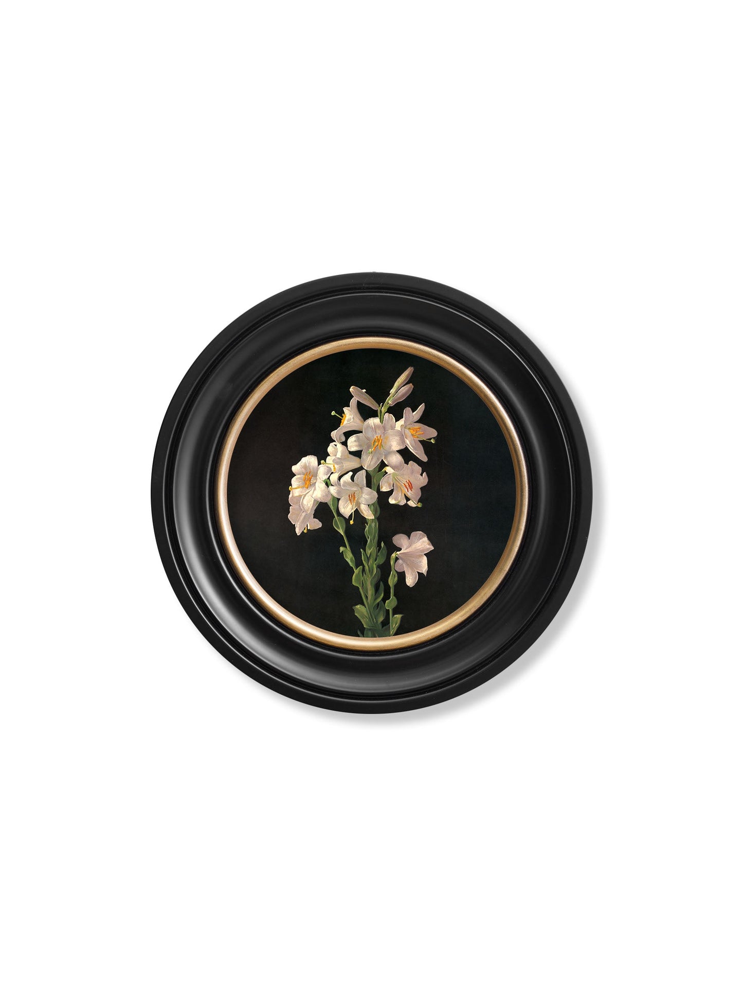 c.1874 George Cochran Lambdin Lillys – Round Frame styled view – Leya Buster Interiors