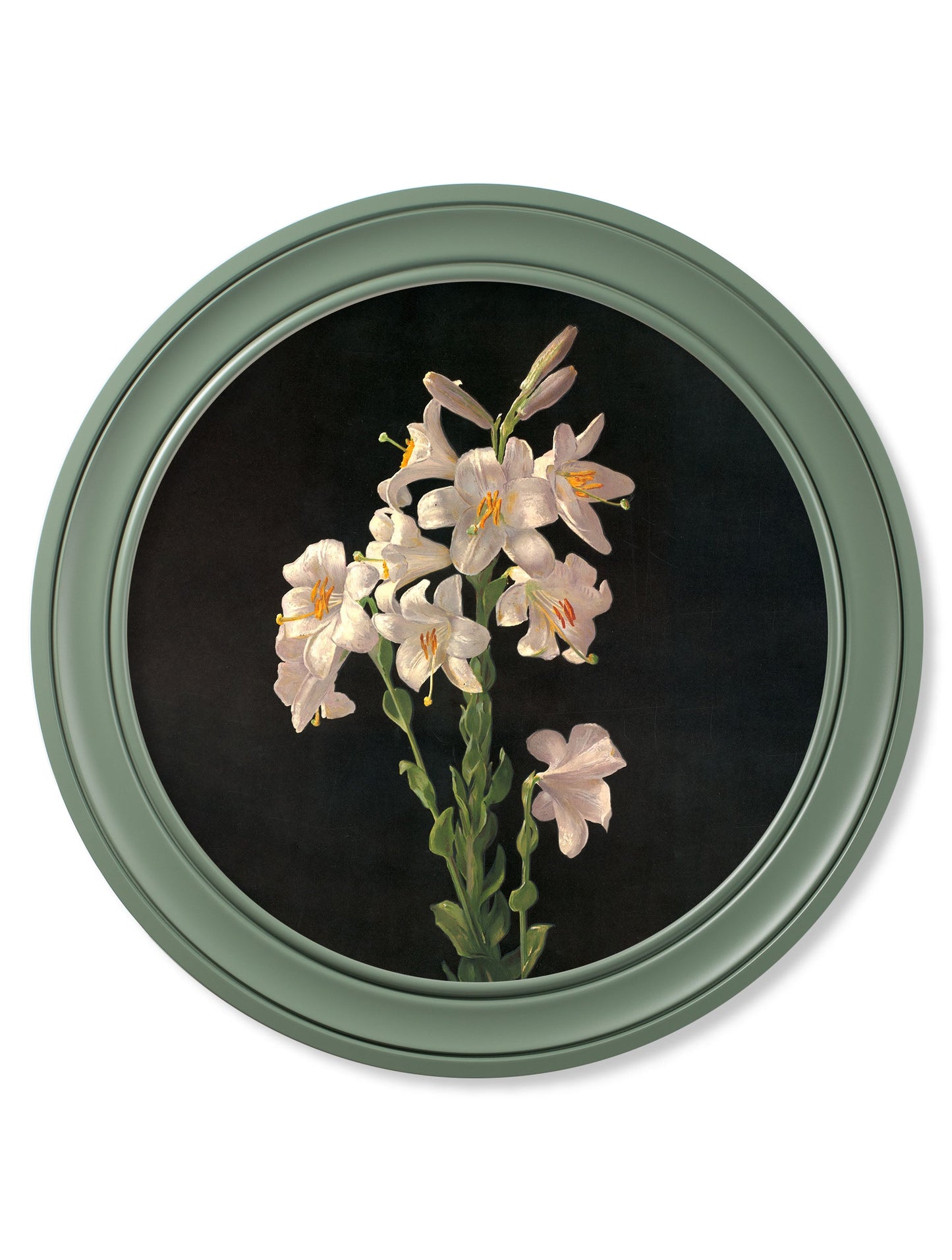 c.1874 George Cochran Lambdin Lillys – Round Frame Green styled view – Leya Buster Interiors