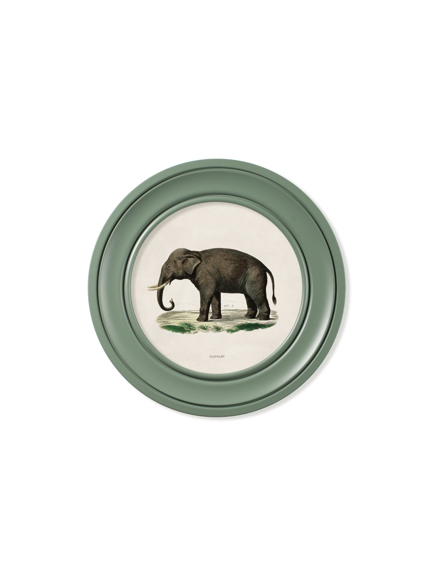 c.1846 Elephants in Round Frame Green styled view – Leya Buster Interiors