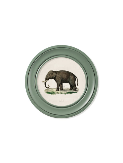 c.1846 Elephants in Round Frame Green styled view – Leya Buster Interiors