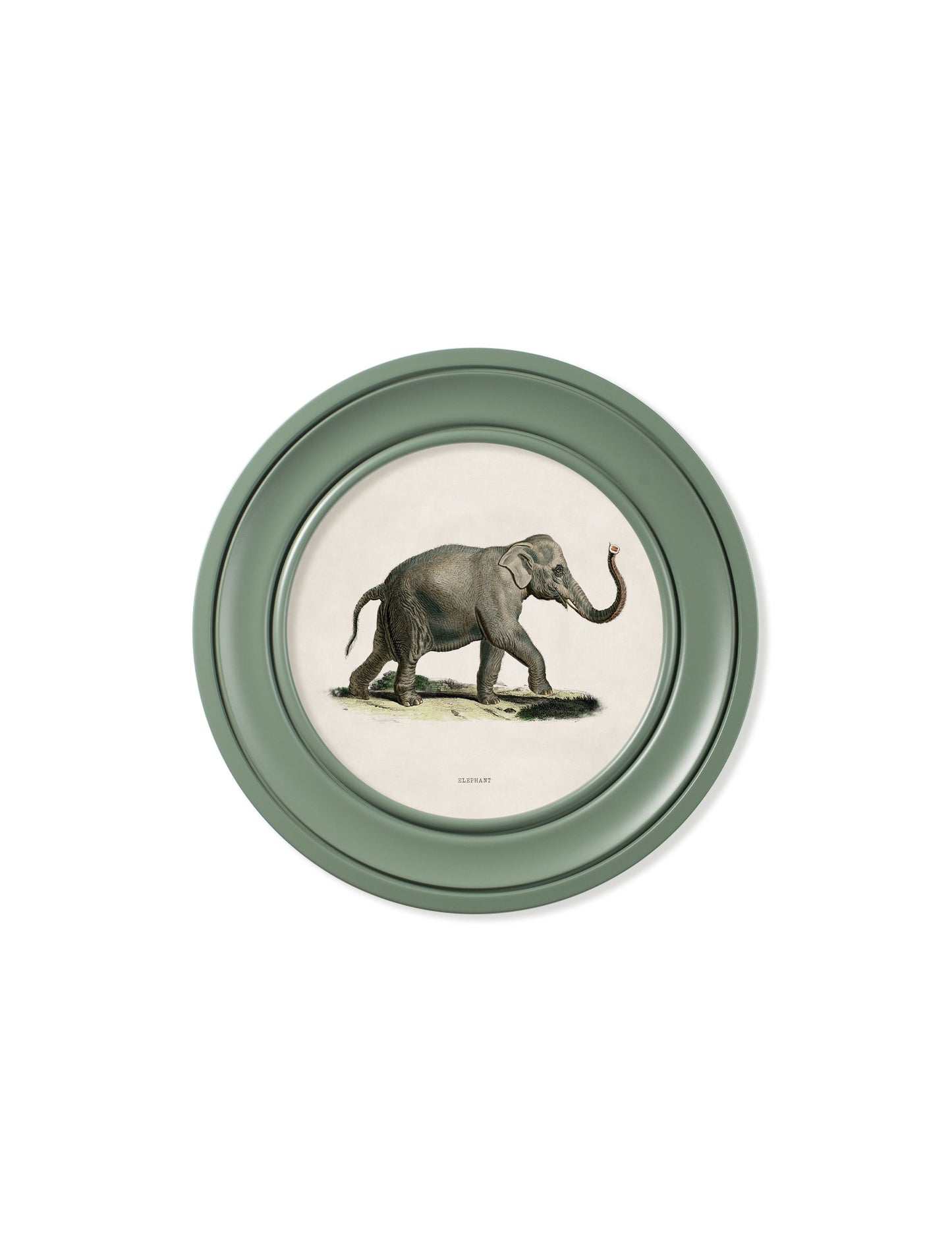 c.1846 Elephants in Round Frame Green styled view – Leya Buster Interiors