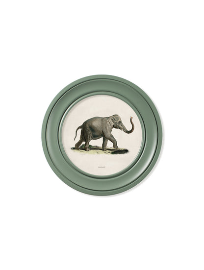 c.1846 Elephants in Round Frame Green styled view – Leya Buster Interiors