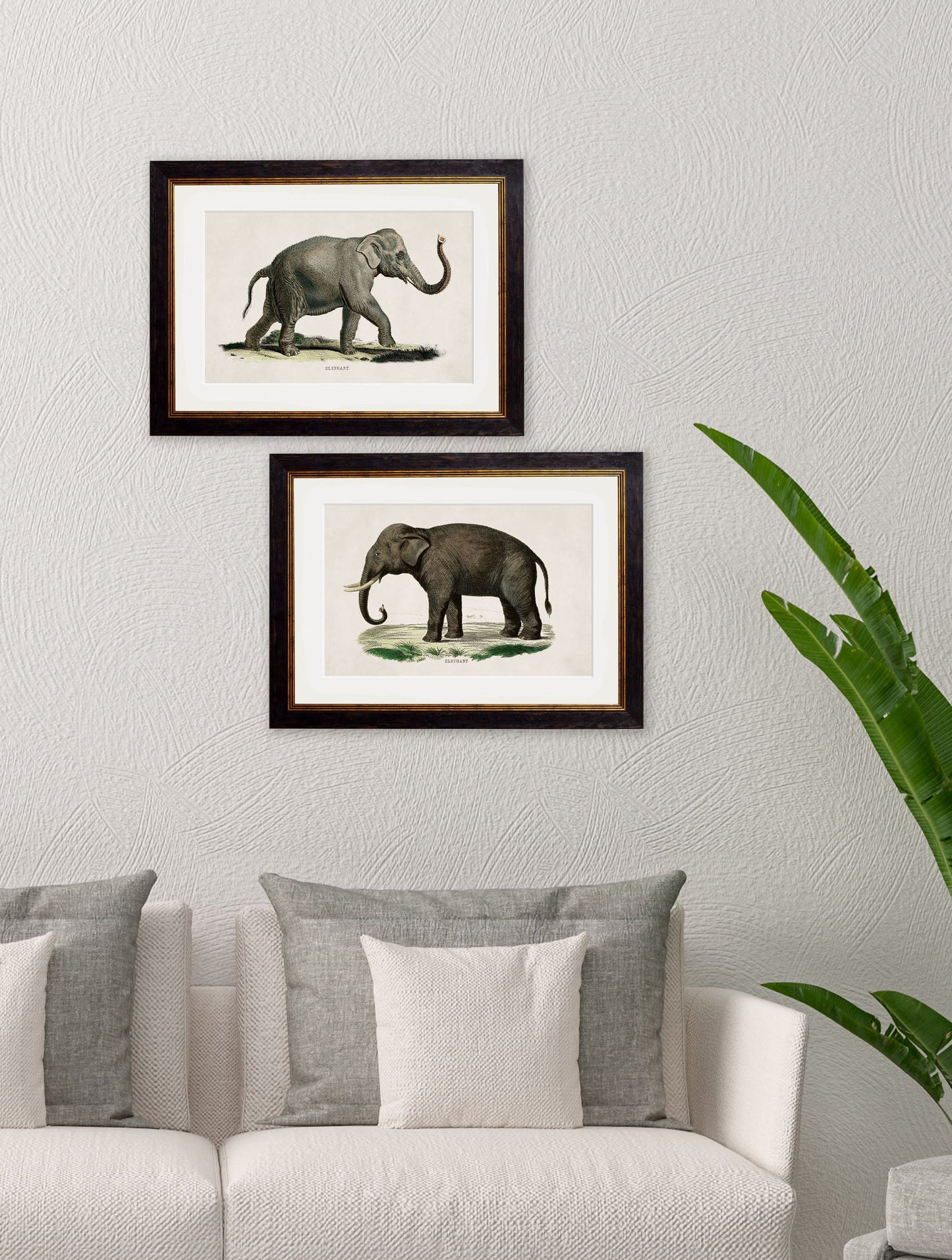 c.1846 Elephants – framed wall art at Leya Buster Interiors