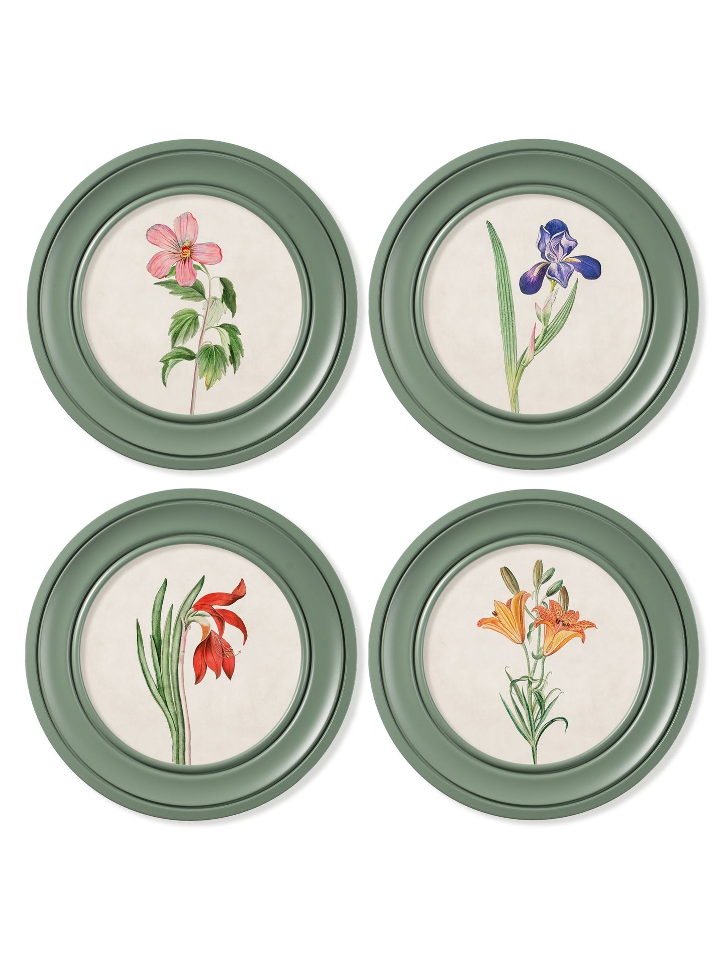 c.1780 Flowering Plants Round Frame Green – framed wall art at Leya Buster Interiors