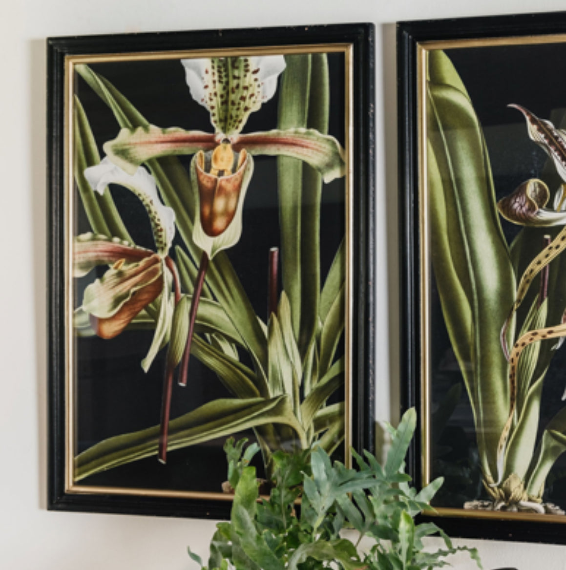 Green Lilly Framed Wall Art Set 2