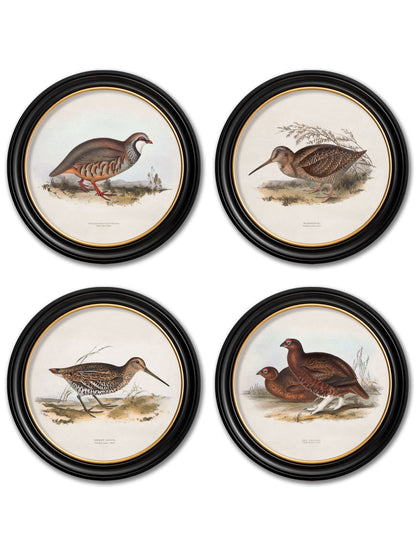 c.1837's British Game Birds – Round detail – Leya Buster Interiors