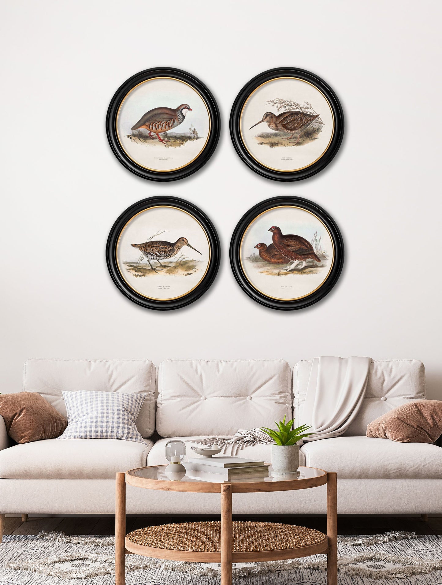 c.1837's British Game Birds – Round – framed wall art at Leya Buster Interiors
