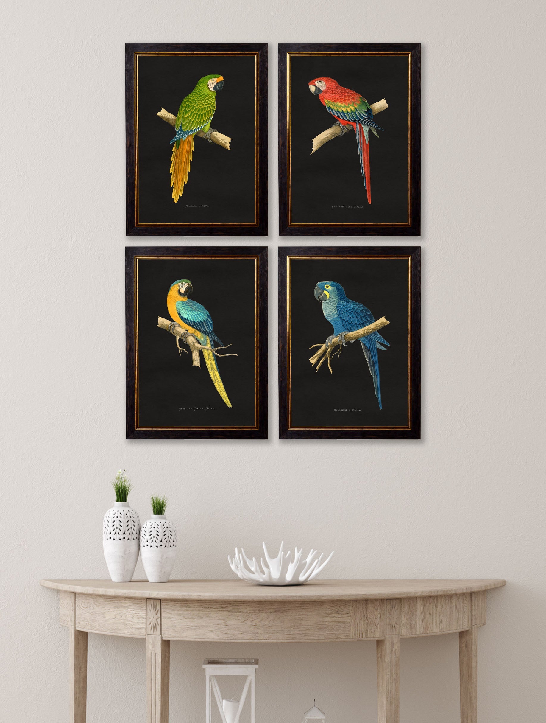 c.1884 Macaws – Dark Background – framed wall art at Leya Buster Interiors