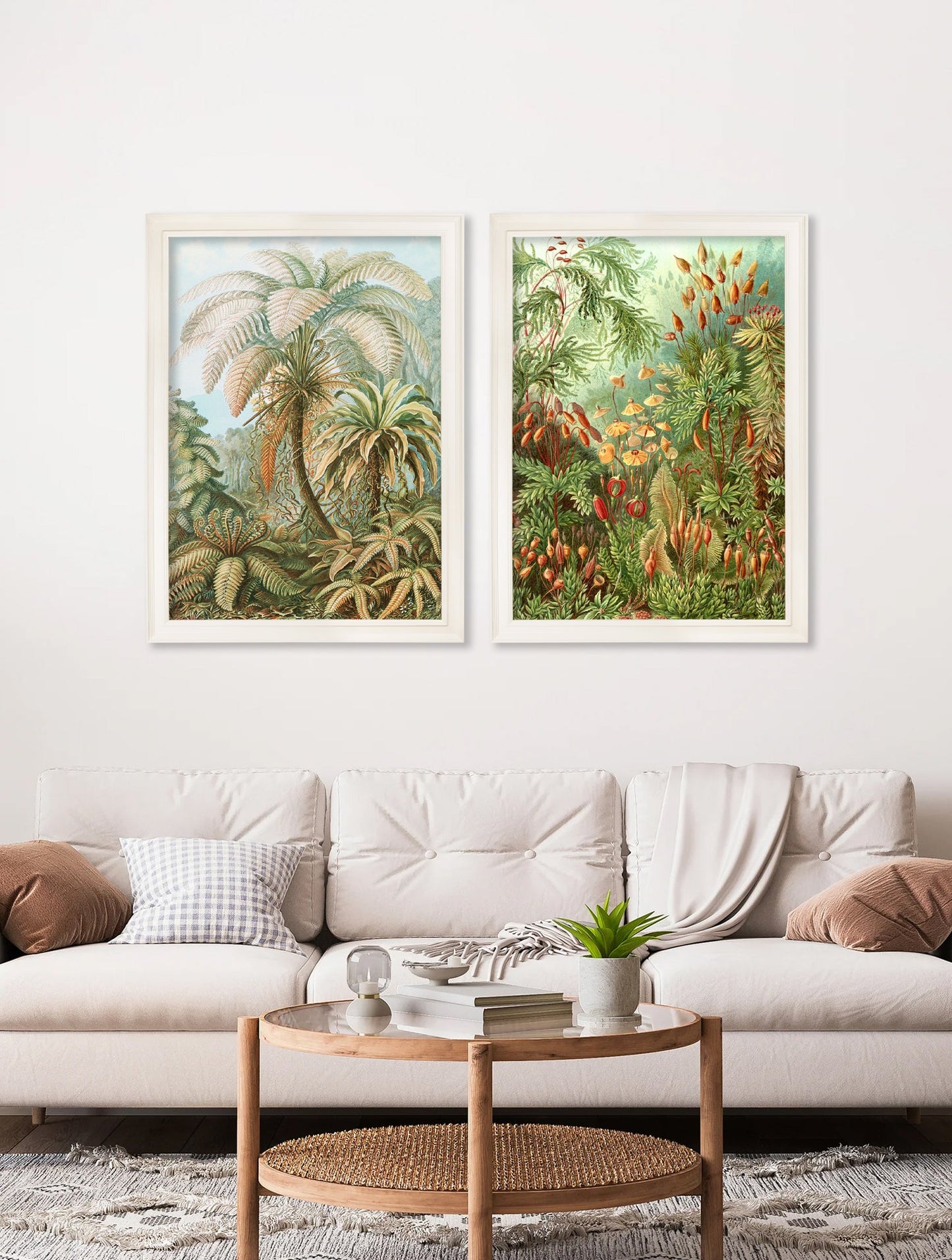 C.1904 Study Of Ferns Print – framed wall art at Leya Buster Interiors