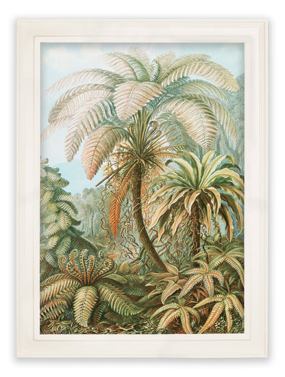 C.1904 Study Of Ferns Print styled view – Leya Buster Interiors