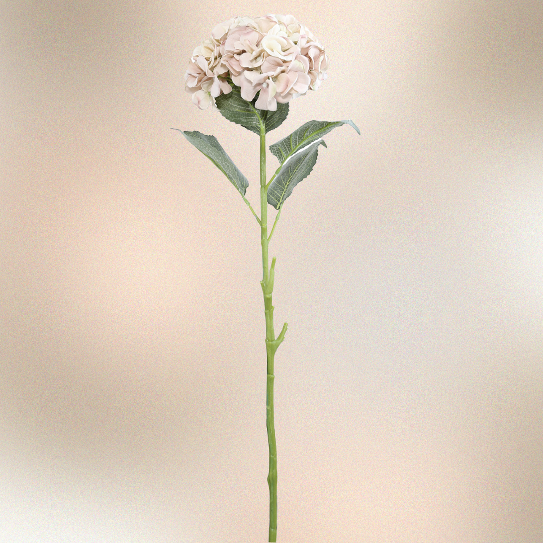 Pink Hydrangea Flower Stem