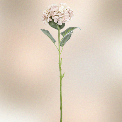 Pink Hydrangea Flower Stem detail – Leya Buster Interiors