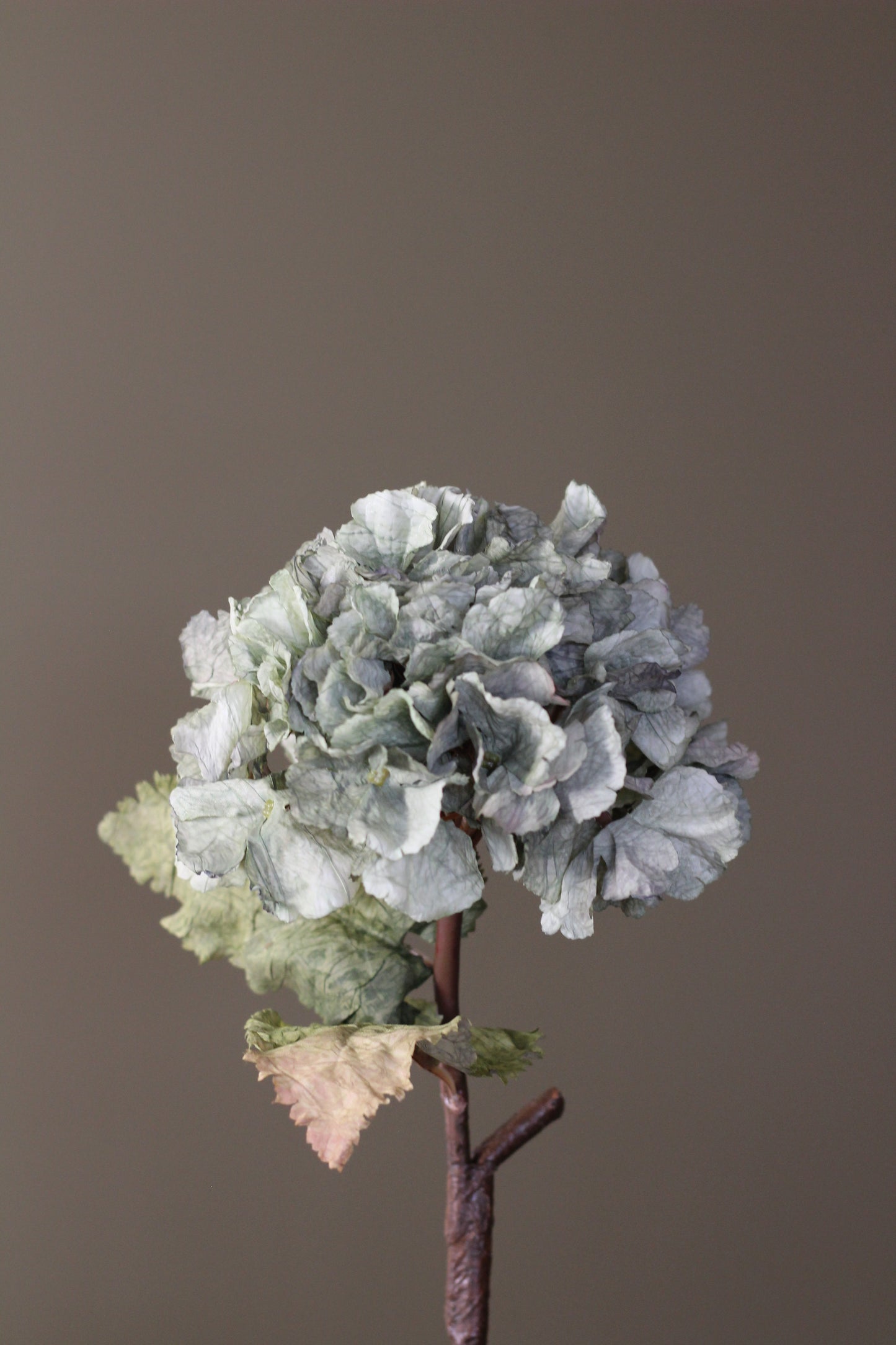 Rustic Hydrangea Stem – Moss Green
