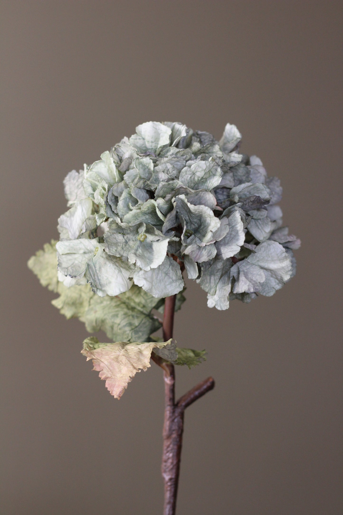 Rustic Hydrangea Stem – Moss Green