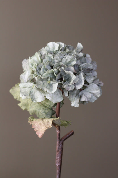 Rustic Hydrangea Stem – Moss Green